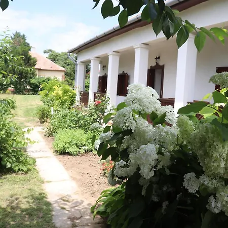 Tulipános * Abádszalók