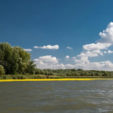 Сasa de vacaciones Tulipános