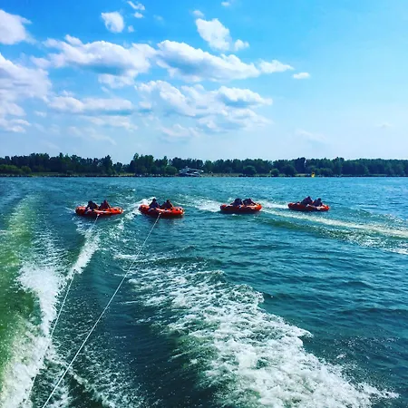 Tulipános * Abádszalók