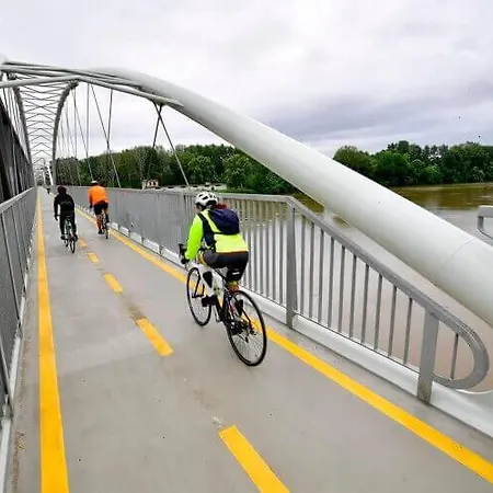 Tulipános * Abádszalók